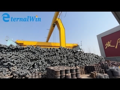 6-9 م / دقيقة رفع سرعة العارضة نوع الرافعة الجسرية الكهربائية للاستخدام النباتي