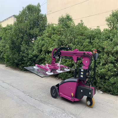 380V/220V قوه عاليه مع 800Kg الحموله القصوى والألوان المخصصة